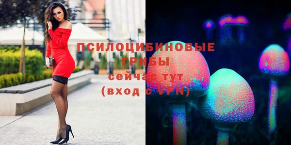 марихуана Абаза