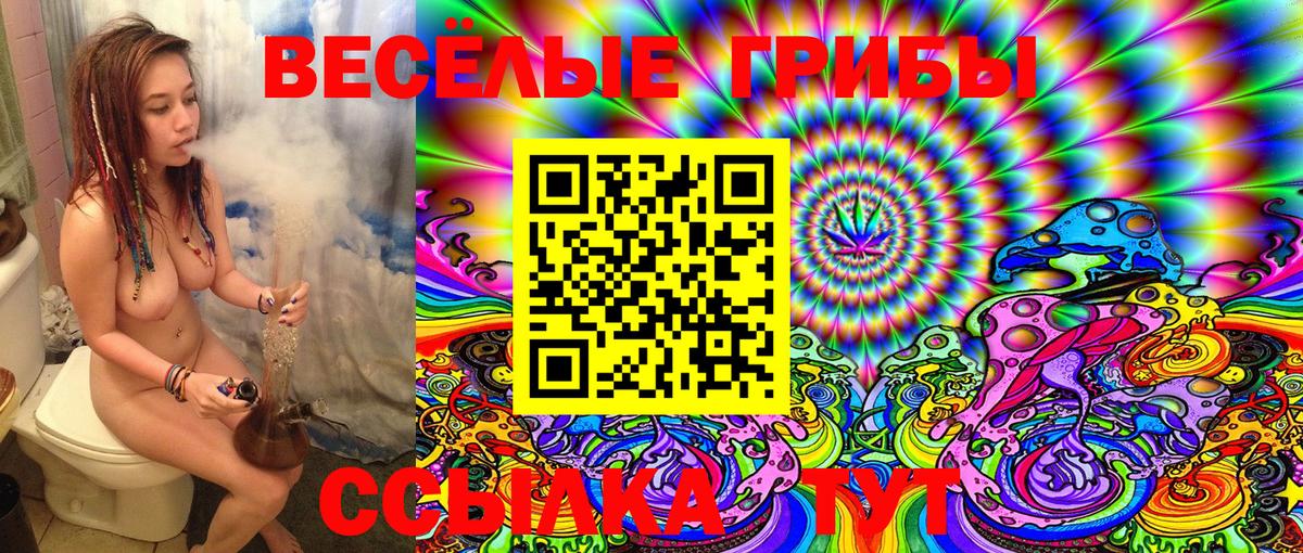 Кохма  Псилоцибиновые грибы MAGIC MUSHROOMS  Вход с VPN 