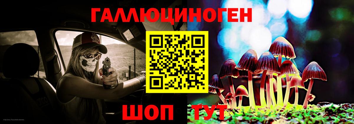 Галлюциногенные грибы мицелий Кохма